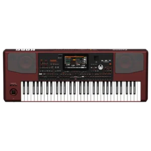 PA1000 ARRANGER 61 TASTI