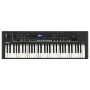 CK-61 STAGE PIANO