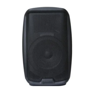 AS-2110 P CASSA ATTIVA