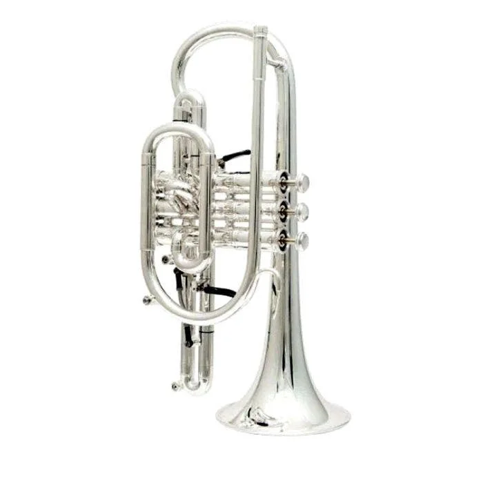 3850S CUSTOM CORNETTA SIB
