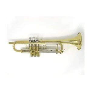 S32-HDL TROMBA SIB LACCATA