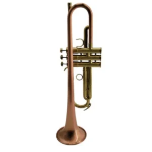 HC2-LBR SPAZZOLATA LACCATA TROMBA