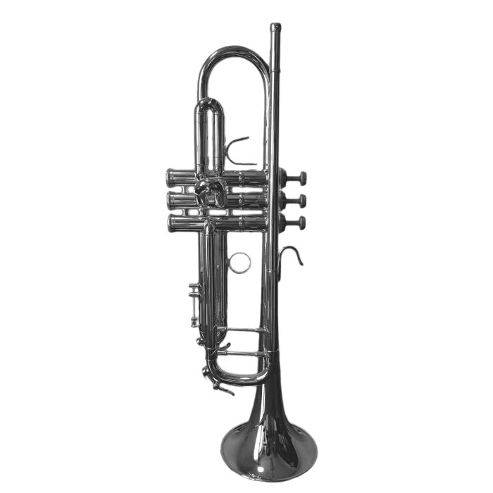3137-S CHALLENGER 1 TROMBA SIB SP