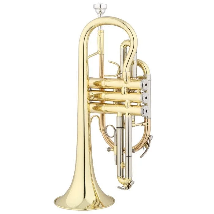 ECN225 CORNETTA LACCATA