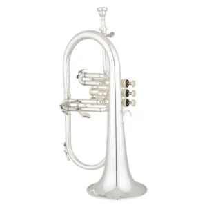 EFG521GS FLICORNO SOPRANO ARGENTATO