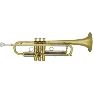ZKT1600-5 TROMBA SIB LACCATA SATINATA