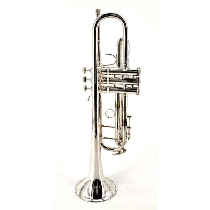 180-37S TROMBA SIB ARGENTATA