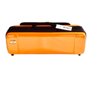 OBLONG METALLIC ORANGE CUSTODIA PER TROMBA