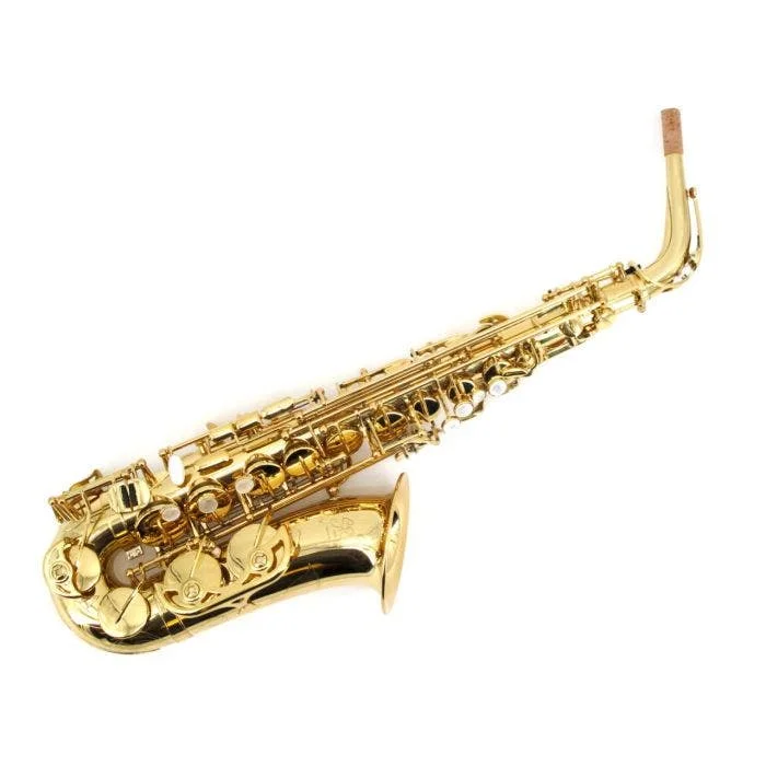 374SE KKIM EVO SAX ALTO