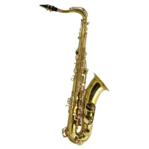 384SE KKIM EVO SAX TENORE