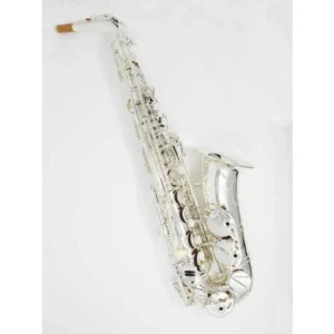 EAS640-SP SAX ALTO FINE SERIE
