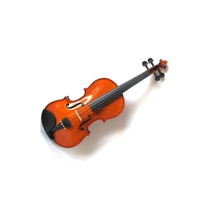P4010ES 4/4 VIOLINO TASTIERA EBANO