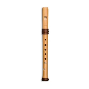 4119 ADRI’S DREAM FLAUTO DOLCE SOPRANO