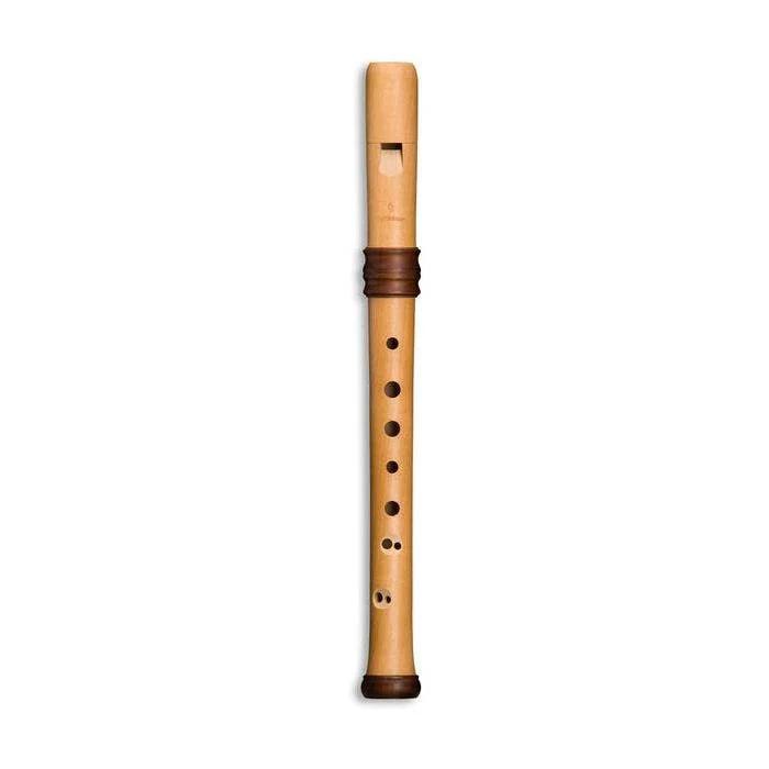 4119 ADRI’S DREAM FLAUTO DOLCE SOPRANO