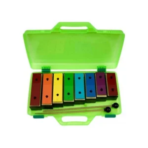DE3050 SET DIATONICO SOPRANO VALIGETTA