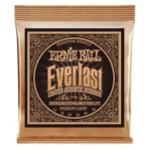 2546 EVERLAST PHOSPHOR BRONZE MEDIUM LIGHT 12/54