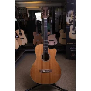 EF740FS-TT OMD THERMAL CHITARRA ACUSTICA