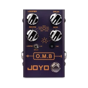 R-06 LOOPER MINI PEDALE