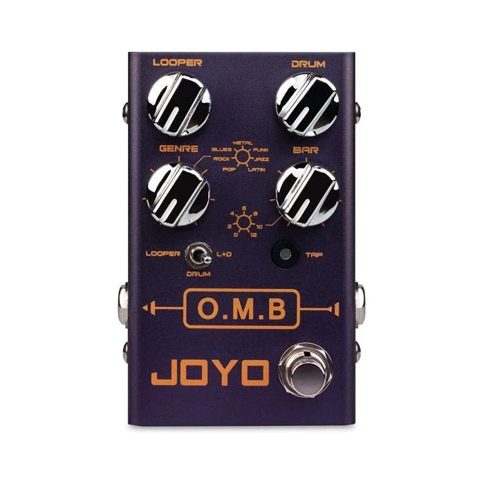 R-06 LOOPER MINI PEDALE