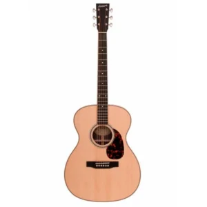 OM-40 ROSEWOOD ORCHESTRA ACUSTICA