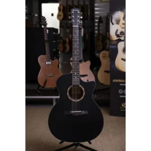 AC122-2CE-BK CHITARRA ACUSTICA