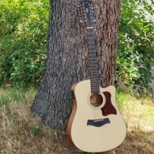 D112CE-N CHITARRA ACUSTICA 12 CORDE