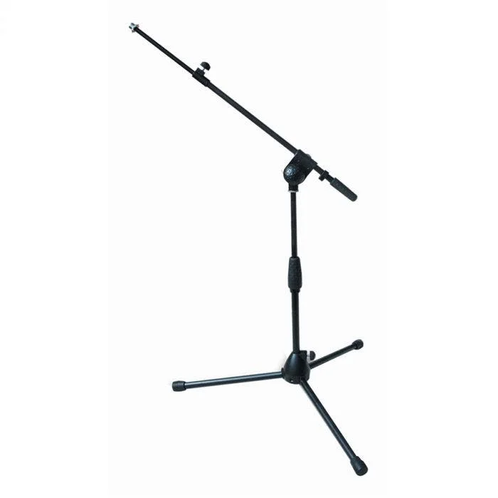 A496 ASTA MIC BASSA A GIRAFFA