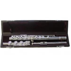 DS-RHEO FLAUTO TRAVERSO