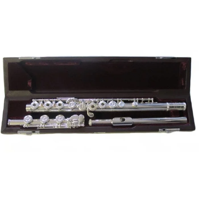 DS-RHEO FLAUTO TRAVERSO