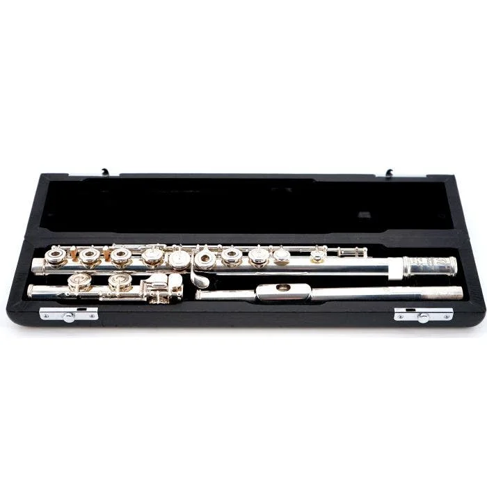 BR-925-1RE FLAUTO TRAVERSO USATO