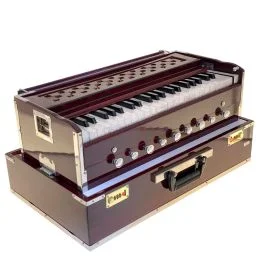 Harmonium Usato Satva Professionale | Cavallimusica