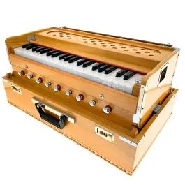 Harmonium Satva USATO legno chiaro Professionale | Cavallimusica