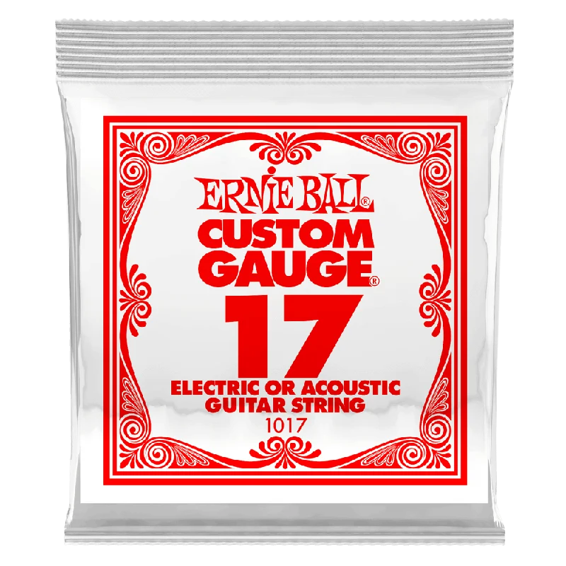 ERNIEBALL 17 SINGOLA