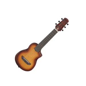 IBANEZ AUP10N Open Pore Tenore Natural