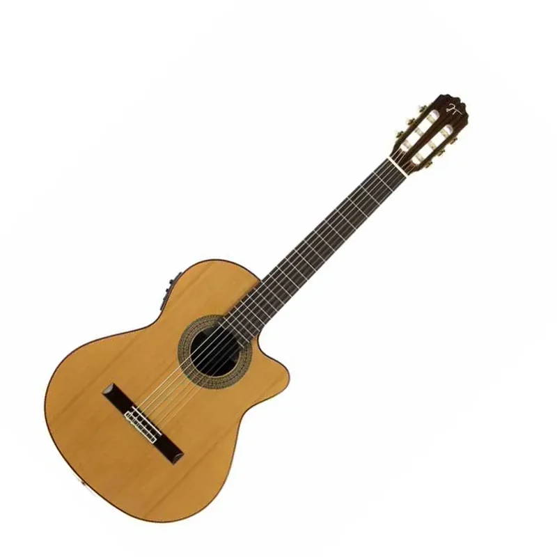 TORRES JOSE JTC 30 CE Amplificata