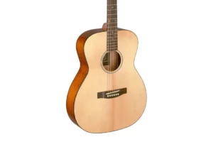 J.N Guitars BES-A-N Solid Spruce Top Acoustic Guitar