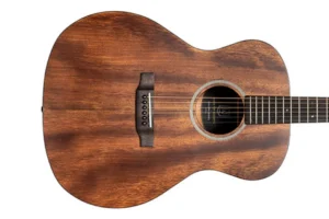 J.N Guitars DOV-A Solid Mahogany Top Acoustic Guitar