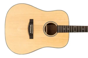 Stagg SA25 D SPRUCE Acoustic Dreadnought Guitar