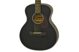 Aria 151-Lil’ Matte Black Spruce Top Acoustic Guitar