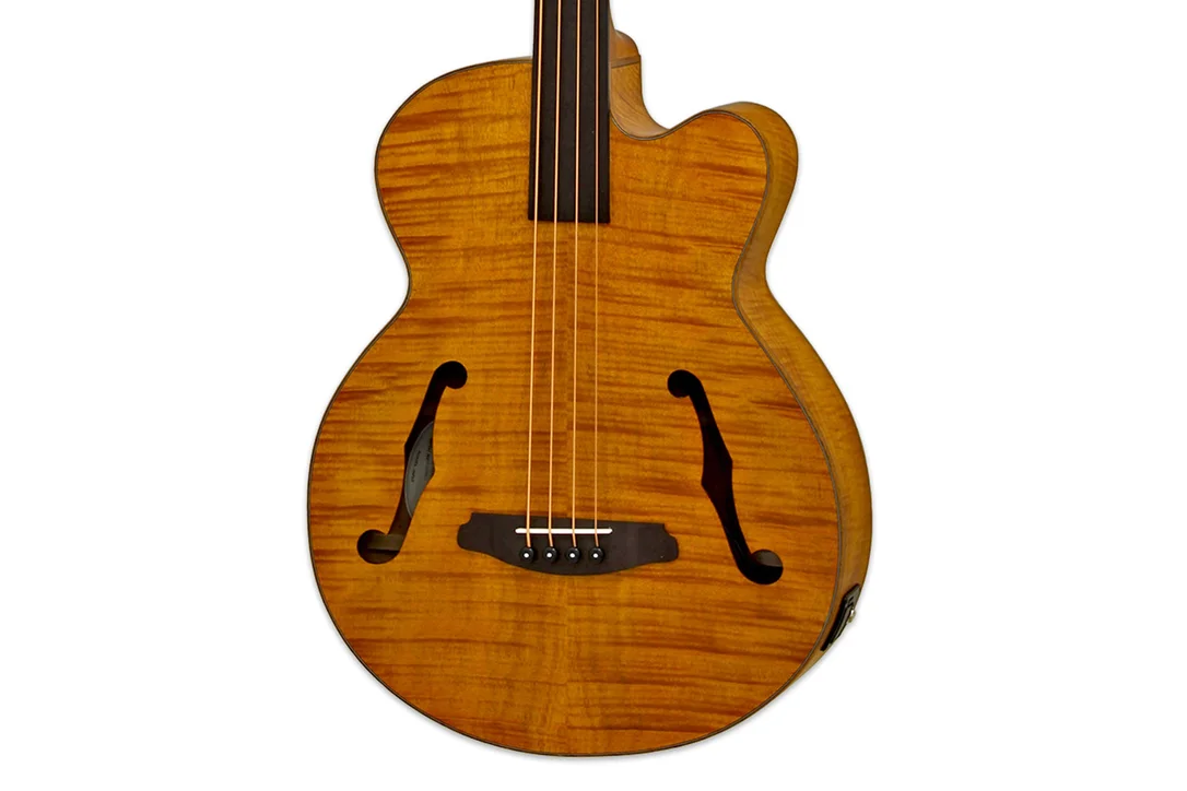 Aria FEB-F2/FL Acoustic Electric Fretless Bass Guitar – Stained Brown