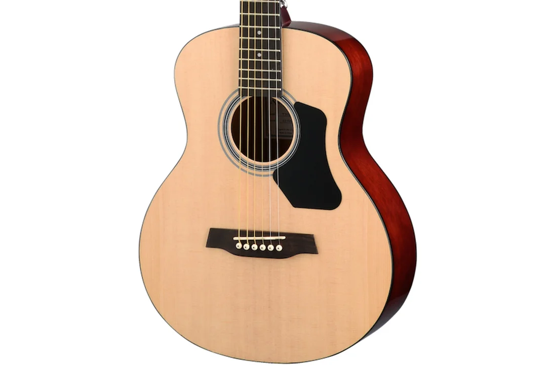 Walden Guitars T350 Standard 7/8 sized Travel Body Acoustic Guitar