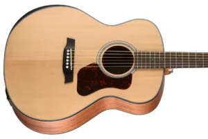 Walden Guitars G550RE The Natura Grand Auditorium Acoustic Electric Guitar