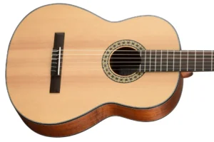 Walden Guitars N550E Natura Nylon Classical Acoustic Electric Guitar