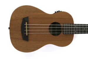 Kala UBASS-WNDR-FS Mahogany Wanderer Acoustic-Electric U•BASS