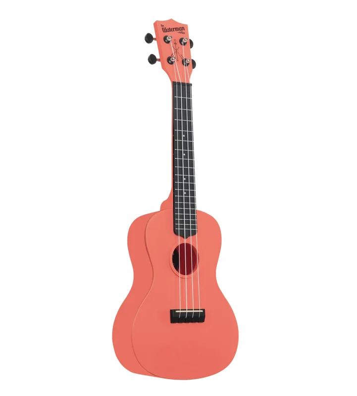 Pink Dusk Concert Waterman