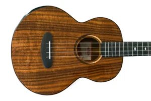 Kala CT-SA-BG Contour Series Baritone Ukulele