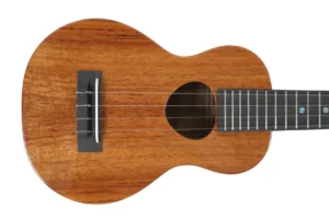 KoAloha KCM-02 Hawaiian Koa Longneck Concert Ukulele