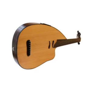 Special Electric Oud PROUD-4