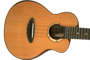 ANueNue UC214 Cedar Bird Cedar/Rosewood Concert Ukulele “LONAI”