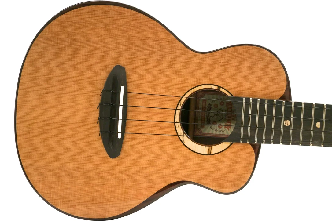 ANueNue UC214 Cedar Bird Cedar/Rosewood Concert Ukulele “LONAI”